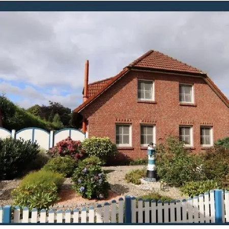 Strandkrabbe Dg Großheide