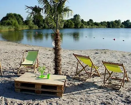 Strandkrabbe Dg Großheide