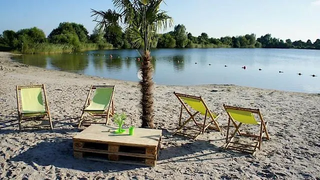 Strandkrabbe Dg Großheide